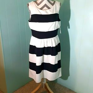 NWT Dress Barn Dress